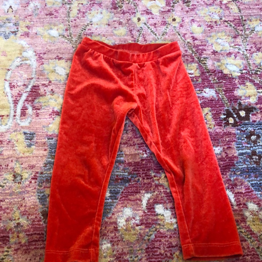 Burnt orange velvet leggings! So perfect for fall!